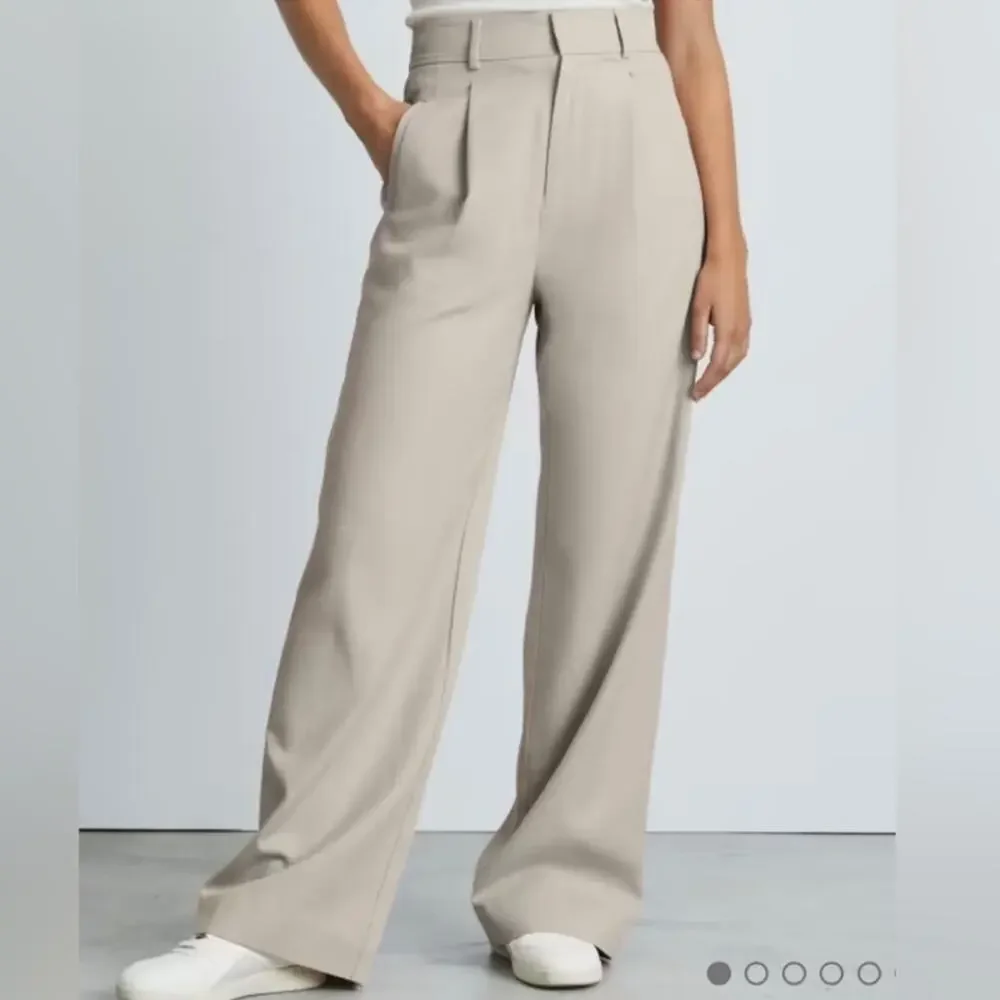 Everlane Way-High Drape Wide Leg Trousers Sandstone Neutral Pants NWT Sz 10 S